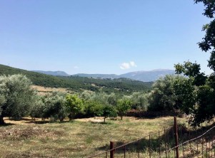 66637420_2375854645814866_5502152014424965120_n 2